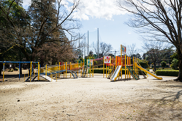 総合公園