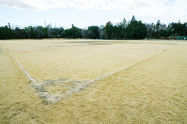 サッカー場